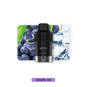 IGET Bar Plus 6000 Pod - Grape Ice