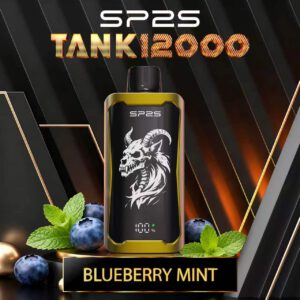 SP2S Tank 12000 Blueberry-Mint — wholesale disposable vape flavour